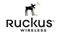 Ruckus çözüm ortağı logosu